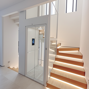 Ascensor Residencial Pequeño para Interiores y Exteriores, Uso en Villas, Eje de Vidrio, Bajo Nivel de Ruido - Product Image 6