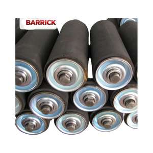 Роликовый конвейер из нержавеющей стали для тяжелых условий эксплуатации с возможностью изготовления по индивидуальным размерам для складской логистики и заводских операций - Product Image 6