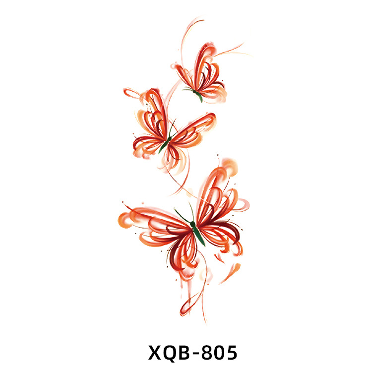 XQ805