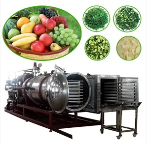 industrial freeze dryer for fruit and vegetable on sale seafood freeze dryer Freeze-dried abalone making machine