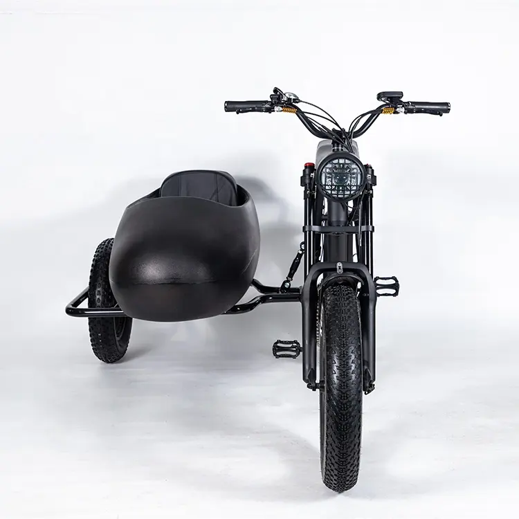 중국 공장 전기 자전거 사이드카 전기 자전거 성인 여성용 리튬 배터리 산악 자전거 스텝 스루 삼륜 자전거