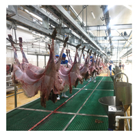 Machine de transformation de la viande de mouton, usine d'abattage halal d'agneau, pompe, moteur, roulement, noyau, haute productivité, acier inoxydable