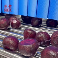 MBC OEM Aangepaste 500-2000 Kg/uur Hoge Capaciteit Cassave Aardappel Bieten Wortel Was- en Schilmachine RVS Schil- en Reinigingsmachine