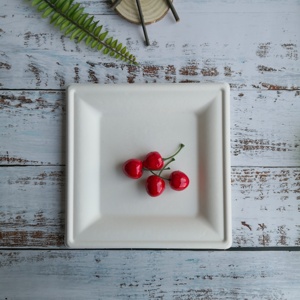 แผ่นกระดาษสี่เหลี่ยมขนาด10นิ้วทรงสี่เหลี่ยมพร้อมช่องใส่ถุง,จานอาหารเย็นแบบจีนชุดจานสี่เหลี่ยมแบบย่อยสลายได้กำหนดเอง - Product Image 6