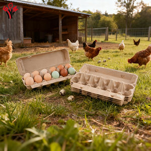Free Sample Wholesale Shockproof Pulp Paper <strong>Egg</strong> Box <strong>Tray</strong> Cartons 1 Dozen 12 Pack Empty For Chicken <strong>Eggs</strong> From Supplier In Stock - Product Image 1