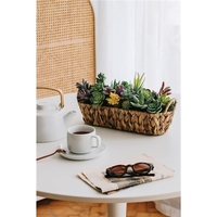 Plantes succulentes artificielles de qualité supérieure, 18 pièces, double flocage, texture réaliste, mini cactus, fausses succulentes décoratives