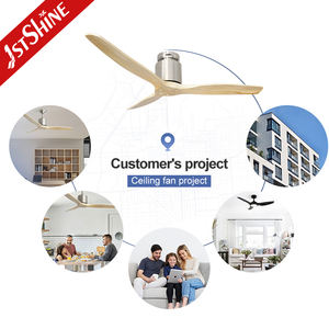 1stshine Ventilateur <span class=keywords><strong>de</strong></span> plafond Durable Homestead Réversible Double usage Silencieux Moteur DC Ventilateur <span class=keywords><strong>de</strong></span> plafond avec télécommande 6 vitesses - Product Image 5