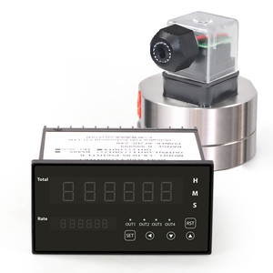 Dụng Cụ Đo Kỹ Thuật Số Cixi Thượng Hải Dụng Cụ Tổng Hợp Cho Máy Đo Lưu Lượng Bộ Điều Khiển Hàng Loạt - Product Image 2