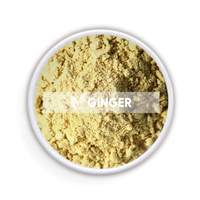 Extrait personnalisé concentré de gingembre soluble pour les boissons jus de gingembre en poudre instantané