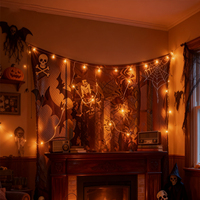 Ensemble de lumières décoratives d'Halloween DIY : Toiles d'araignée, nappe, rideau de porte noir, dentelle, écran de fenêtre, mur, lumières décoratives de fête