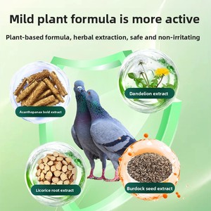 Suplemento en Polvo para la Salud Interna de Aves, para la Caída de Plumas, Fuente de Alimentación para Palomas Mensajeras - Product Image 3