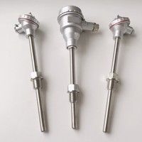Sensor RTD de Acero Inoxidable a Prueba de Explosiones Haichen CT4 OEM con Termómetro de Brida PT100/PT1000 Simplex/Dúplex