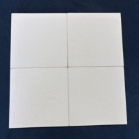 Techo acústico Rockwool con absorción de sonido y reducción de ruido para techo de fábrica