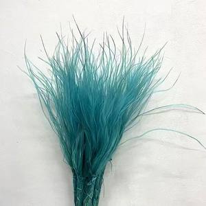 Herbe à plumes Stipa Tenuis naturelle séchée, nouvelle récolte, couleur vert faible saturation, protection de l'environnement, pour la décoration de la maison et les cérémonies de remise de diplômes - Product Image 4