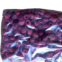 Topkwaliteit IQF diepvries frambozen, zoete smaak, hele vruchten, geconserveerd in siroop, bulk export uit China.