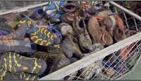 Chaussures de Sécurité en Gros d'Occasion, Bottes de Randonnée Tactiques, Bottines du Désert à Embout d'Acier, Chaussures de Protection Noires, Ignifuges