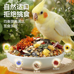 Cockatiel <b>Bird</b> Food Omega3 Rich <b>Pellets</b> For Feather Care And Growth All Seasons - Product Image 2