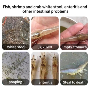 Aditivo Alimenticio para Camarones que Promueve <span class=keywords><strong>el</strong></span> Crecimiento sin Obstáculos para Animales Acuáticos, que Aborda la Problematica de <span class=keywords><strong>Heces</strong></span> Blancas y Vibrio Intestinal, con una Vida Útil de 2 Años - Product Image 4