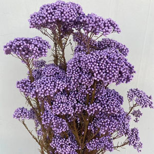 ดอกไม้แห้งสีขาวสำหรับตกแต่งพิธีแต่งงาน,ดอกไม้ตกแต่งธรรมชาติแห้งขายส่งโรงงานและพวงหรีด - Product Image 2