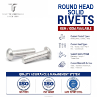 TianFang Rivets Pleins Tête Ronde Aluminium sur Plan Chromés pour Assemblage Automobile RoHS REACH
