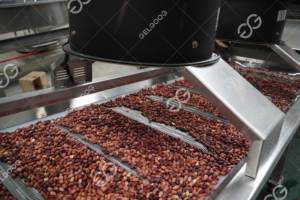 Công nghiệp công suất nhỏ đậu phộng chế biến bơ dòng đậu phộng dây chuyền sản xuất thương mại bao gồm rang - Product Image 6