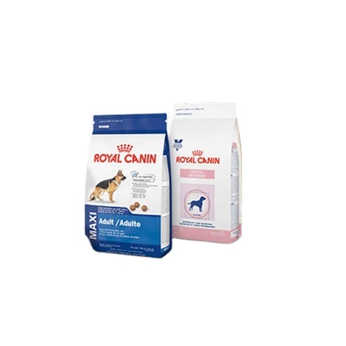 Beli Makanan Anjing Kering Dewasa Royal Canin Sedang | Beli Grosir Royal Canin | Beli Grosir Makanan Kucing Royal Canin