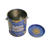 Boîte ronde en métal miniature portable personnalisée pour l'emballage de nourriture, de bonbons, mini pot de fleurs et de plantes, seau en métal