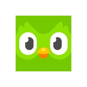 Compte Premium Duolingo Pro 1 an, activez votre propre compte, valable dans le monde entier - Product Image 3