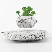Magnétique Lévitation Bonsaï Plante Flottante en Bois Personnalisé DIY Décoratif Air Bonsai Cup