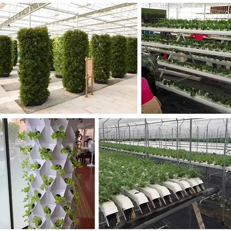 Système hydroponique agricole intelligent Irrigation automatique Usage domestique Jardin Tour de culture verticale pour la culture de légumes Herbes Laitue