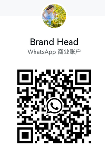 Rick Retro High-Top été mode baskets Evergreen daim hauteur supérieure augmentant maille plate-forme élégante chaussures de marche - Product Image 4