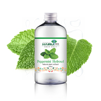 Hydrolat de menthe poivrée 100% pur et non dilué, idéal pour le nettoyage des pores, le soulagement de la fatigue, la matière première pour les soins quotidiens de la peau