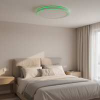 Plafonnier LED intelligent WiFi Tuya 24W RGBCW, moderne, à commande vocale via Alexa/Google pour salon - Vente Flash