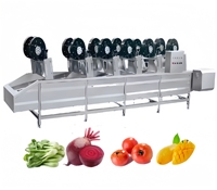 Professionele leverancier van droogmachines, heteluchtblaasmachines, ontwateringsdroogmachines en lucht droogmachines voor de groenteverwerking