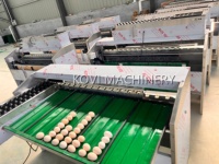 Machine de pesage et de tri des œufs de poulet en acier inoxydable, machine de tri des œufs de canard et d'oie, machine d'inspection des œufs par éclairage