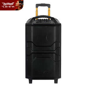 MIC Street Dancing Mobile PORTABLE En Bois Multimédia Unique 12 Pouces Mobile BT ACTIVE DJ PA Karaoké KARAOKE Audio Haut-Parleur - Product Image 6