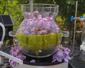 Thủy Tinh Chưng Cất Nước Cất Hydrosol Vắt Hộ Gia Đình Tinh Dầu Vắt Nước Cất Cho Nước Hoa - Product Image 5