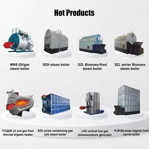 Générateur et four à <span class=keywords><strong>air</strong></span> <span class=keywords><strong>chaud</strong></span> industriel basse pression 1T 2T à circulation naturelle, alimenté au gaz/huile/combustible pour le chauffage et le séchage - Product Image 6