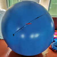 Kostum Blueberry Tiup PVC Berkualitas Khusus BeiLe untuk Kesenangan Dewasa