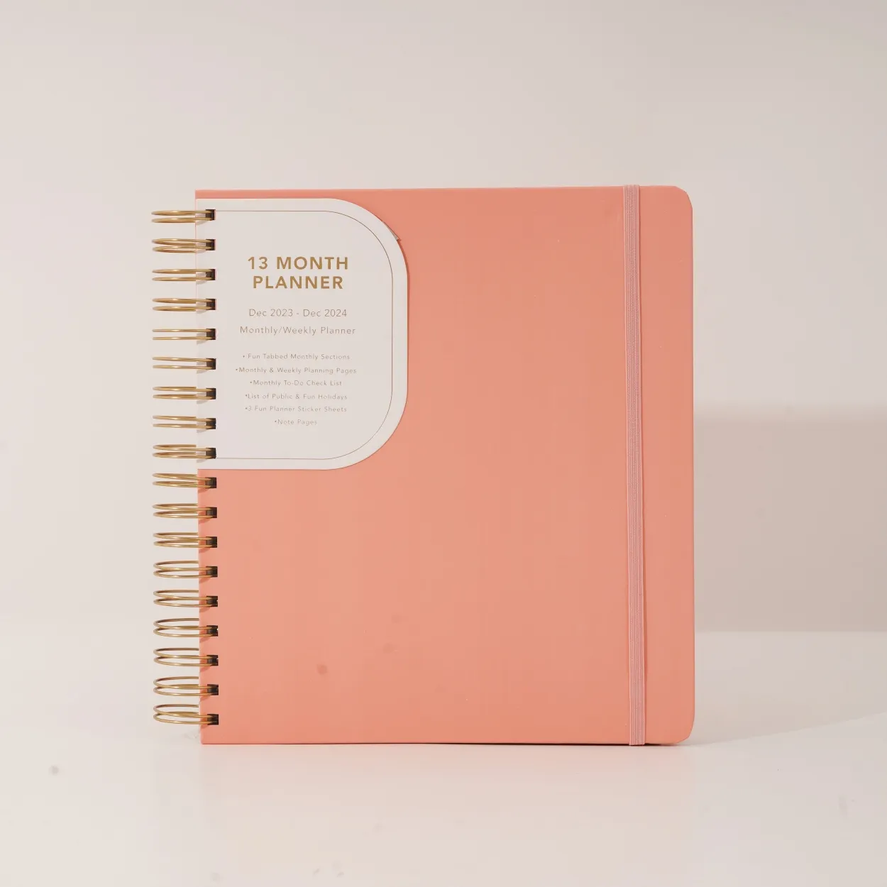 Taccuino a spirale CAGIE 2024 planner copertina rosa quaderni di diario A5 agenda planner 2024 copertina rigida per notebook set regalo