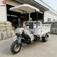 Tricycle agricole motorisé chinois facile à utiliser, robuste, capacité de charge lourde, moteur 300CC refroidi par eau, 2000KG, 70km/h, transport de marchandises