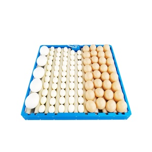 Mini Tray Automatic Hatching <b>Egg</b> <b>Incubator</b> with 110V/220V Compatibility 1-Year Warranty for Birds & Reptiles - Product Image 6