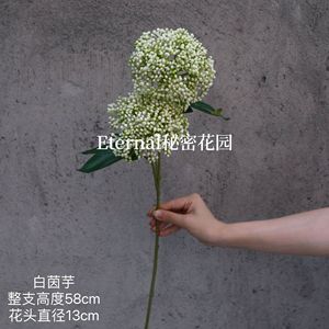 Flores de Hortensia Artificiales Weihai, Blancas, de Plástico, para Decoración de Bodas y Hogar - Product Image 5