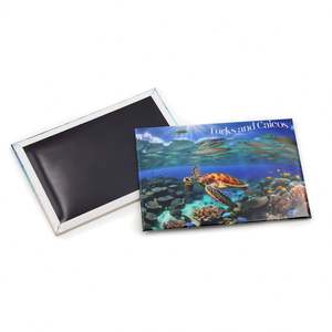 Aimants de plage personnalisés en tôle imprimée, aimants de réfrigérateur sur le thème des Tortues Marines des îles Turques et Caïcos - Product Image 1