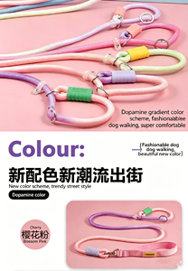 Customizable dog anti-explosion shock-proof P-string for medium-large-sized dogs, pet <b>rope</b>, dog <b>chain</b>, dog training <b>rope</b> - Product Image 4