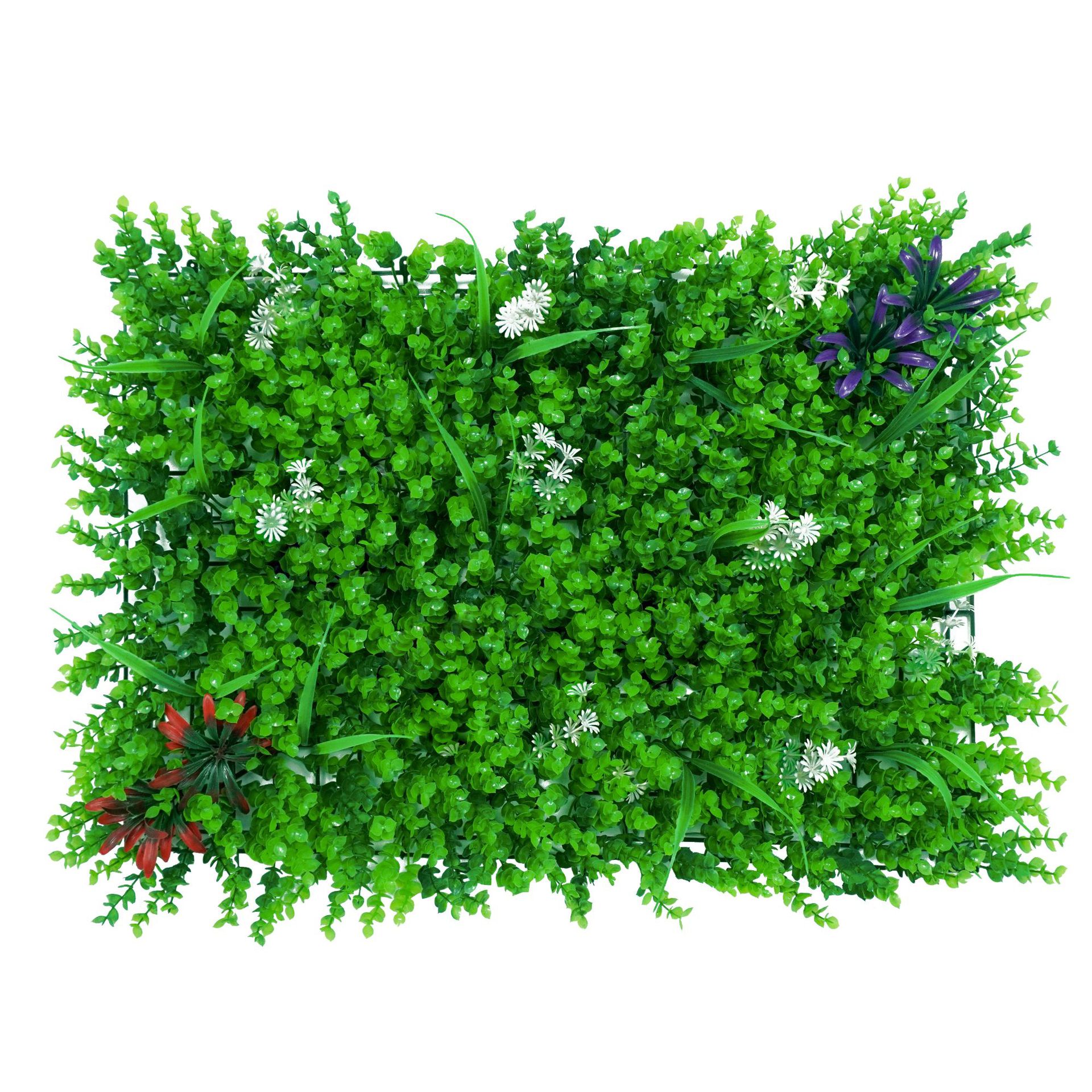 ยูคาลิปตัสชนบท