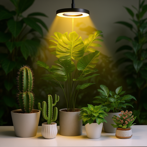 Lampe de croissance LED à spectre complet circulaire, 9 niveaux de luminosité réglables, hauteur réglable, minuterie automatique, lampe de croissance pour plantes, blanc chaud, rouge, bleu - Product Image 2