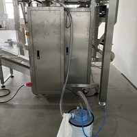 Remplissage automatique de grande pesée 5kg 10kg 15kg Machine d'emballage de litière pour chat en sucre et sel de haricots de riz