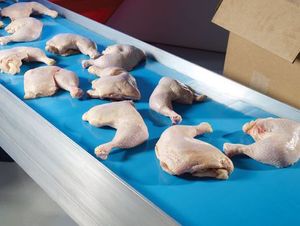 Trái Cây Rau Ban Nhạc Trắng Màu Xanh PU Vành Đai Thức Ăn Bánh Băng Tải Thắt Lưng Cho Khoai Tây Cấp Thực Phẩm - Product Image 5