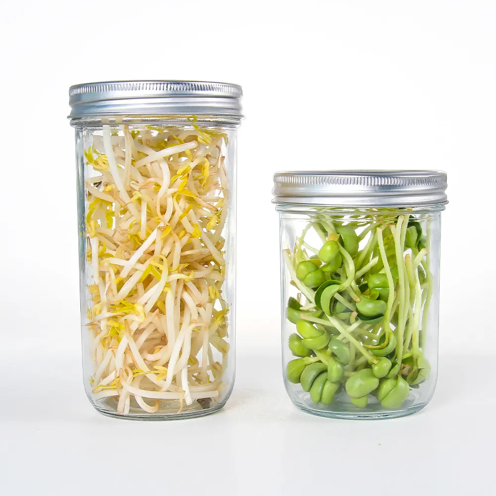 Barattolo di vetro a bocca larga kit di coltivazione per broccoli erba medica con coperchi dello schermo in acciaio inossidabile